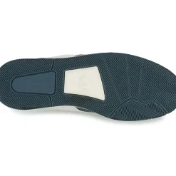 Clae - MALONE