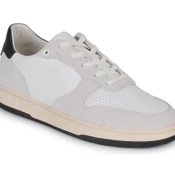 Clae - MALONE