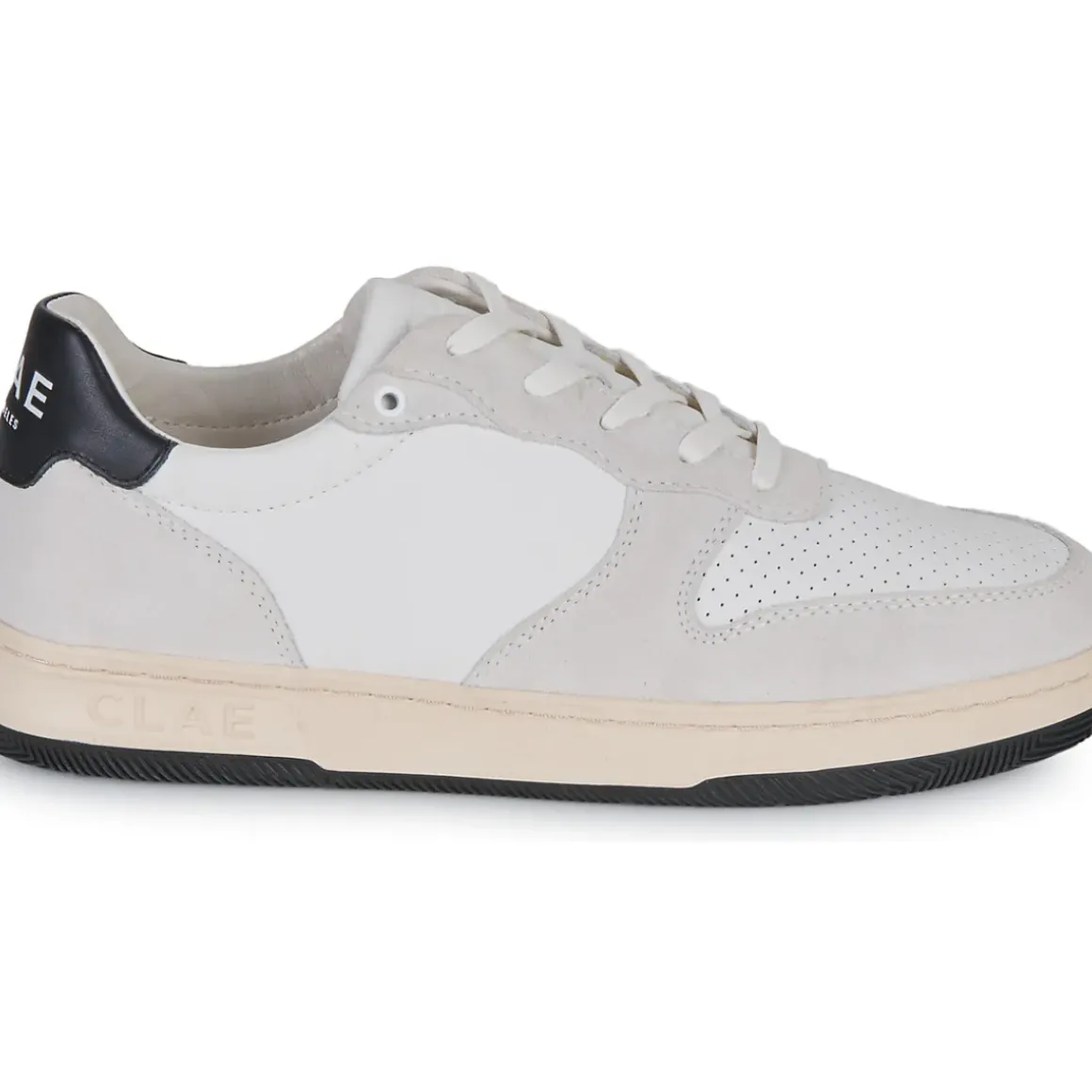 Clae - MALONE