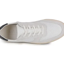 Clae - MALONE