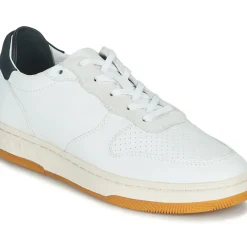 Clae - MALONE