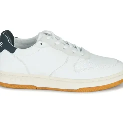 Clae - MALONE