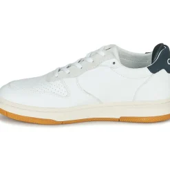Clae - MALONE