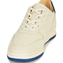 Clae - MALONE