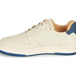 Clae - MALONE