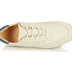 Clae - MALONE