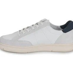 Clae - MONROE