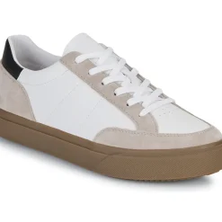 Clae - MONROE VP