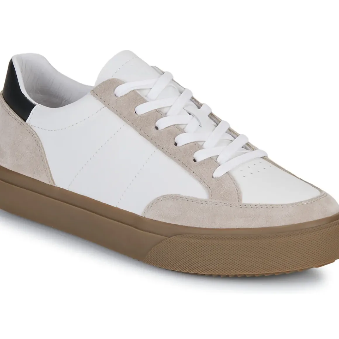 Clae - MONROE VP