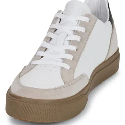 Clae - MONROE VP