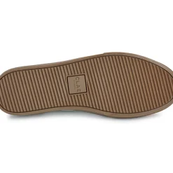 Clae - MONROE VP