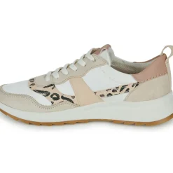 Clarks - DASHLITE JAZZ