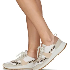 Clarks - DASHLITE JAZZ
