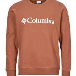 Columbia - CSC Basic Logo II Hoodie