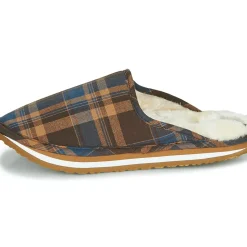 Cool shoe - HOME