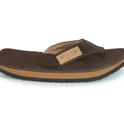 Cool shoe - 2LUXE