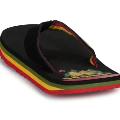 Cool shoe - ORIGINAL