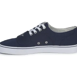 Creative Recreation - G C CESARIO LO XVI