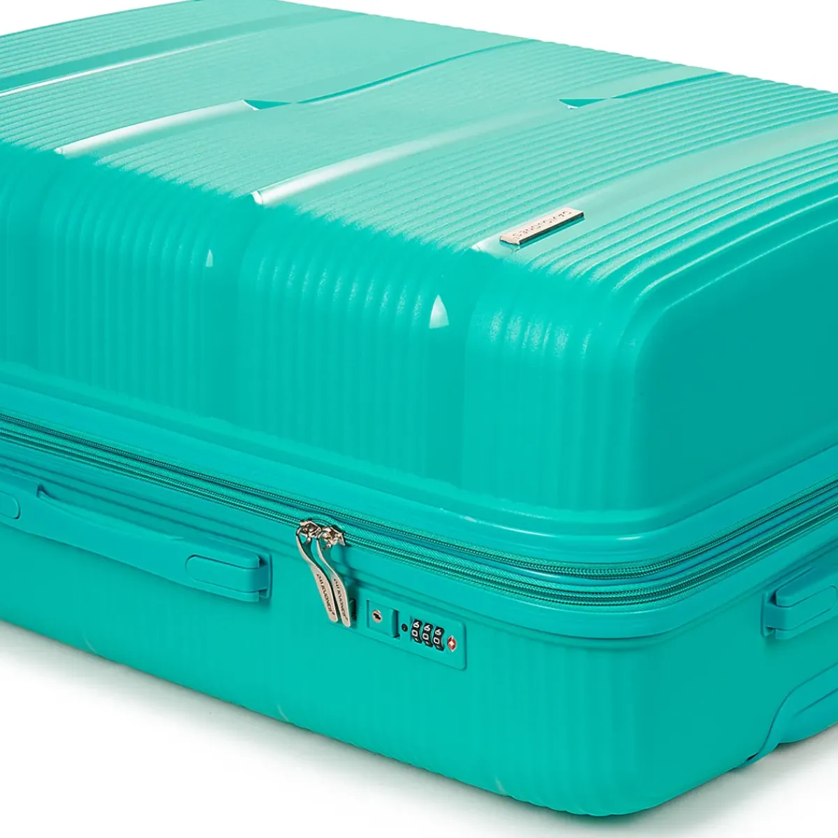 David Jones - BA-8003 103L LARGE