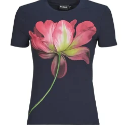 Desigual - PLATA