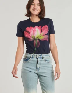 Desigual - PLATA