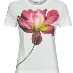 Desigual - PLATA