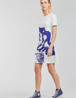 Desigual - WASHINTONG