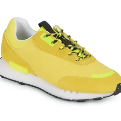 Desigual - JOGGER COLOR