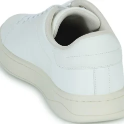 Diesel - S-ATHENE LOW
