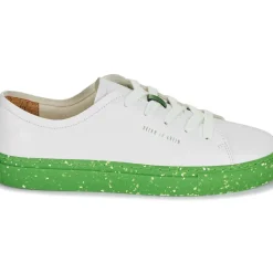 Dream in Green - JOBI