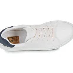 Dream in Green - JOBIO
