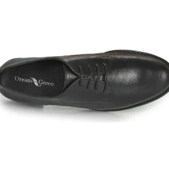 Dream in Green - NOUSSIN