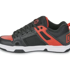 DVS - COMANCHE