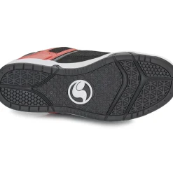DVS - COMANCHE
