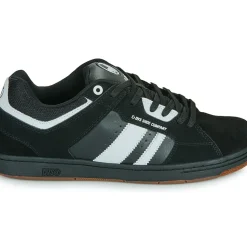 DVS - TACTIC