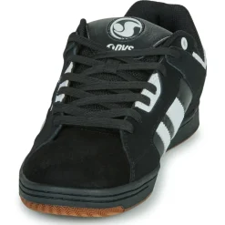 DVS - TACTIC