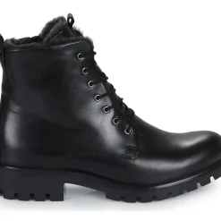 Ecco - MODTRAY W