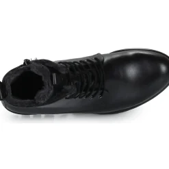 Ecco - MODTRAY W