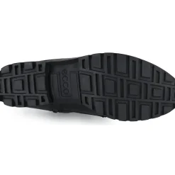 Ecco - MODTRAY W