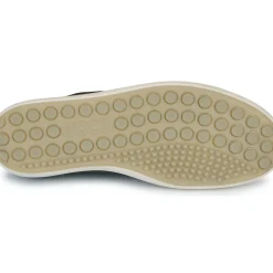 Ecco - SOFT 7