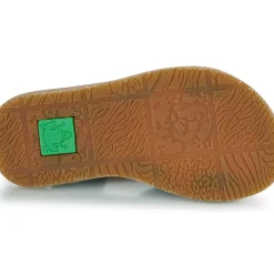 El Naturalista - 5350