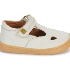 El Naturalista - 5341