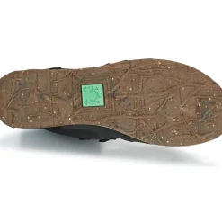El Naturalista - ANGKOR N5470