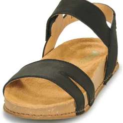 El Naturalista - BALANCE N5790