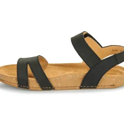 El Naturalista - BALANCE N5790
