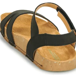 El Naturalista - BALANCE N5790