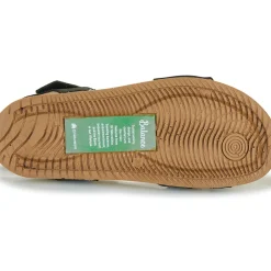 El Naturalista - BALANCE N5790