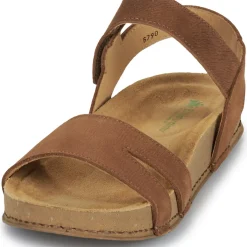 El Naturalista - BALANCE N5790