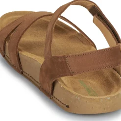El Naturalista - BALANCE N5790