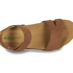El Naturalista - BALANCE N5790